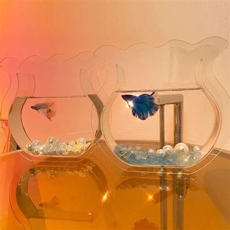 魚缸魚 花瓶造型